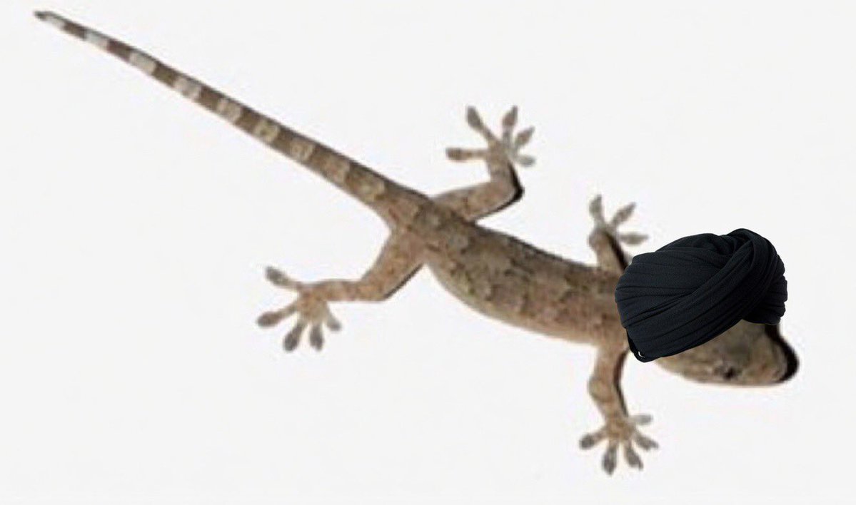 ENG. AZHAR ALESS 🇮🇶🇺🇸 tweet media