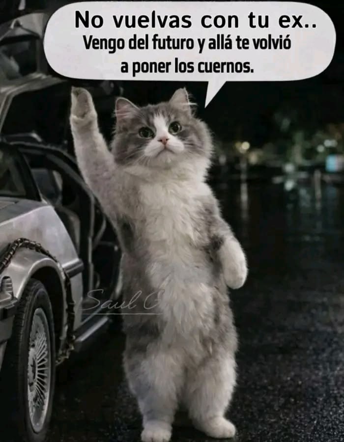 Yamileth. tweet media