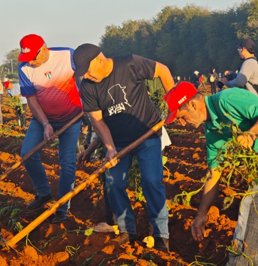 Lia Verona 🇨🇺 tweet media