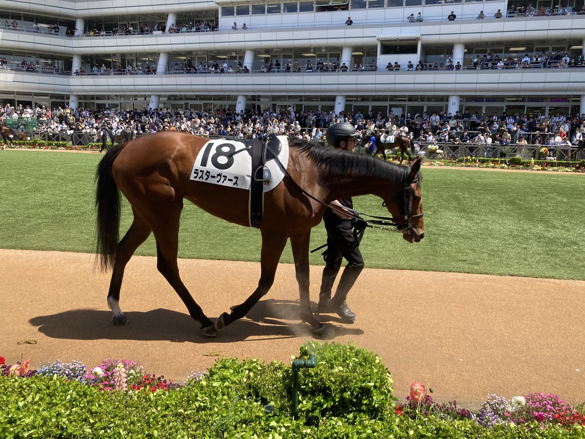 🇯🇵Jack Horse Racing🇯🇵本年J2勝N5勝 tweet media