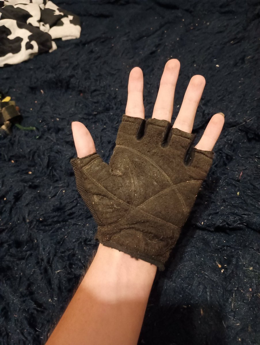 rascal Racoon 🇦🇶 tweet media