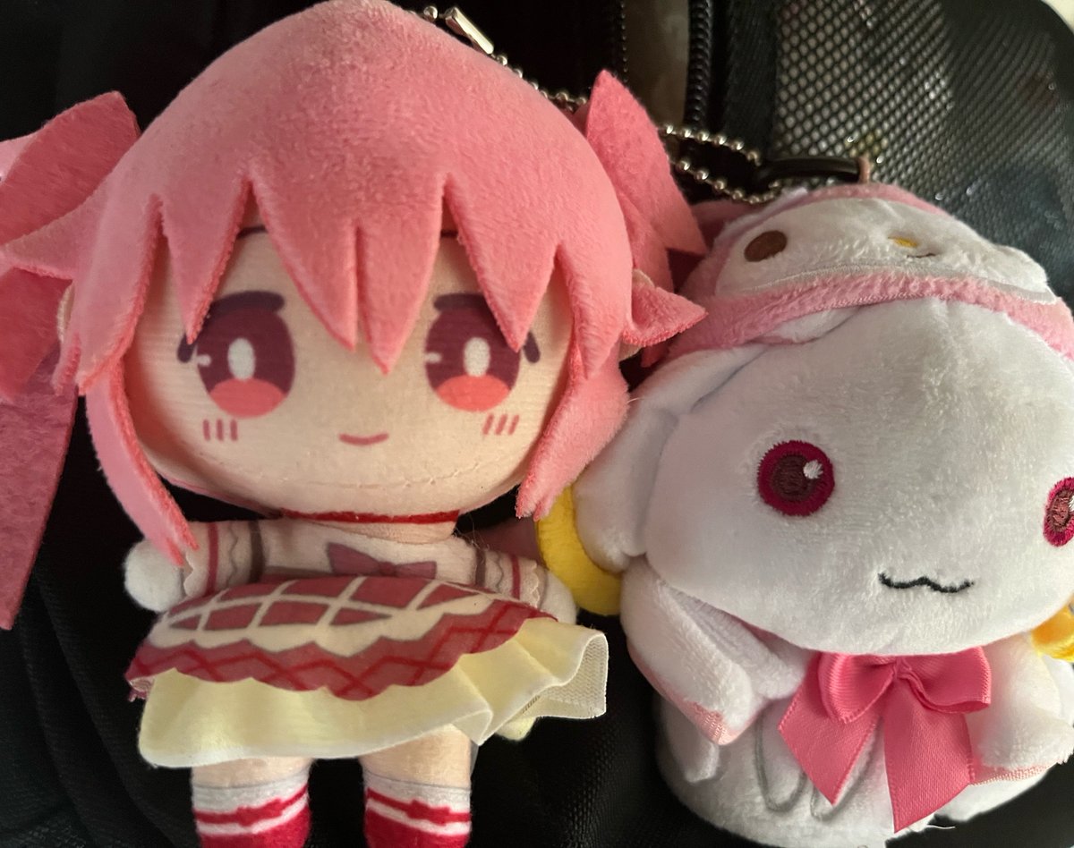 だんごむし tweet media