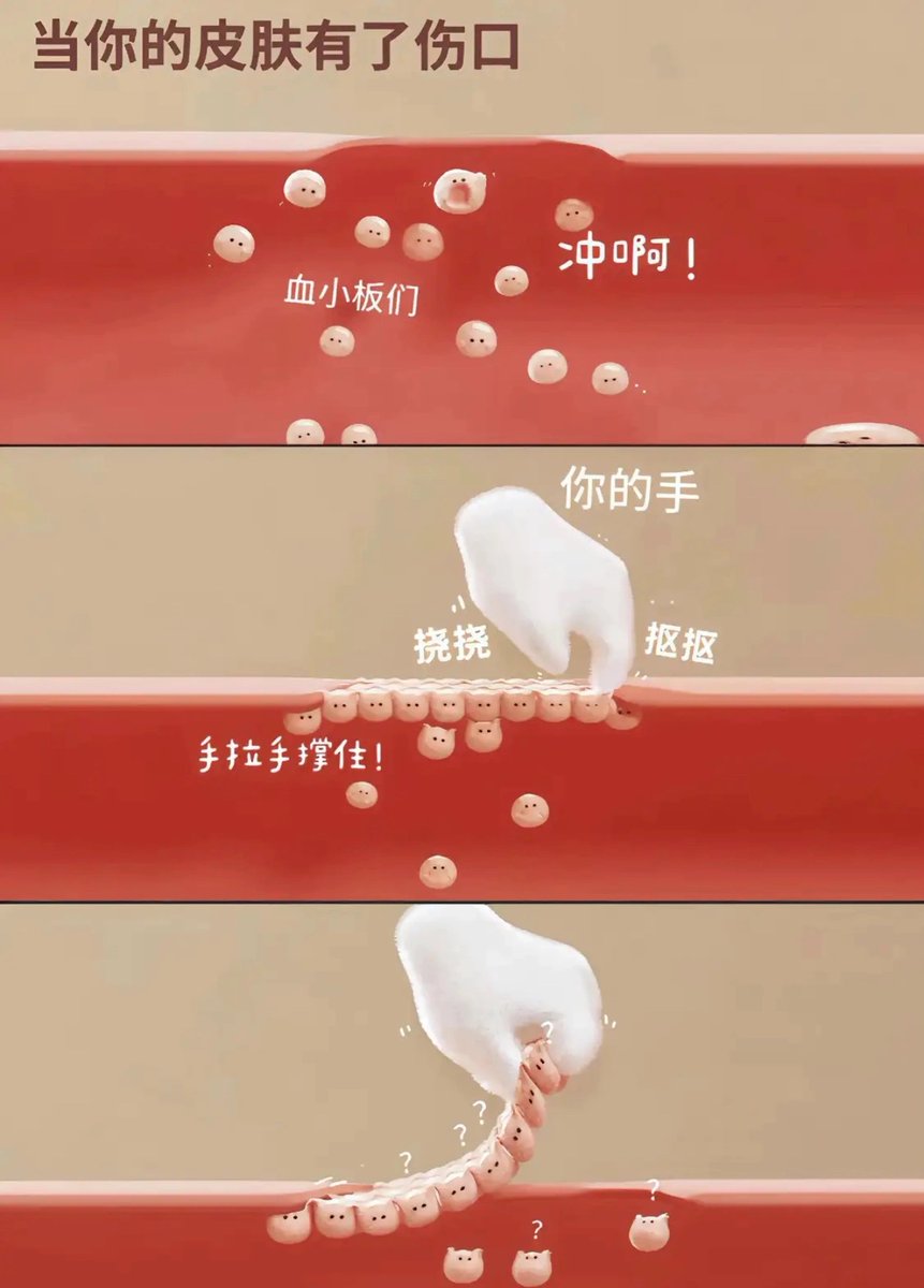 当你的皮肤有了伤口