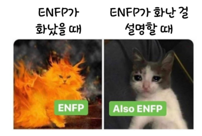 Mooni Insight 💫 tweet media