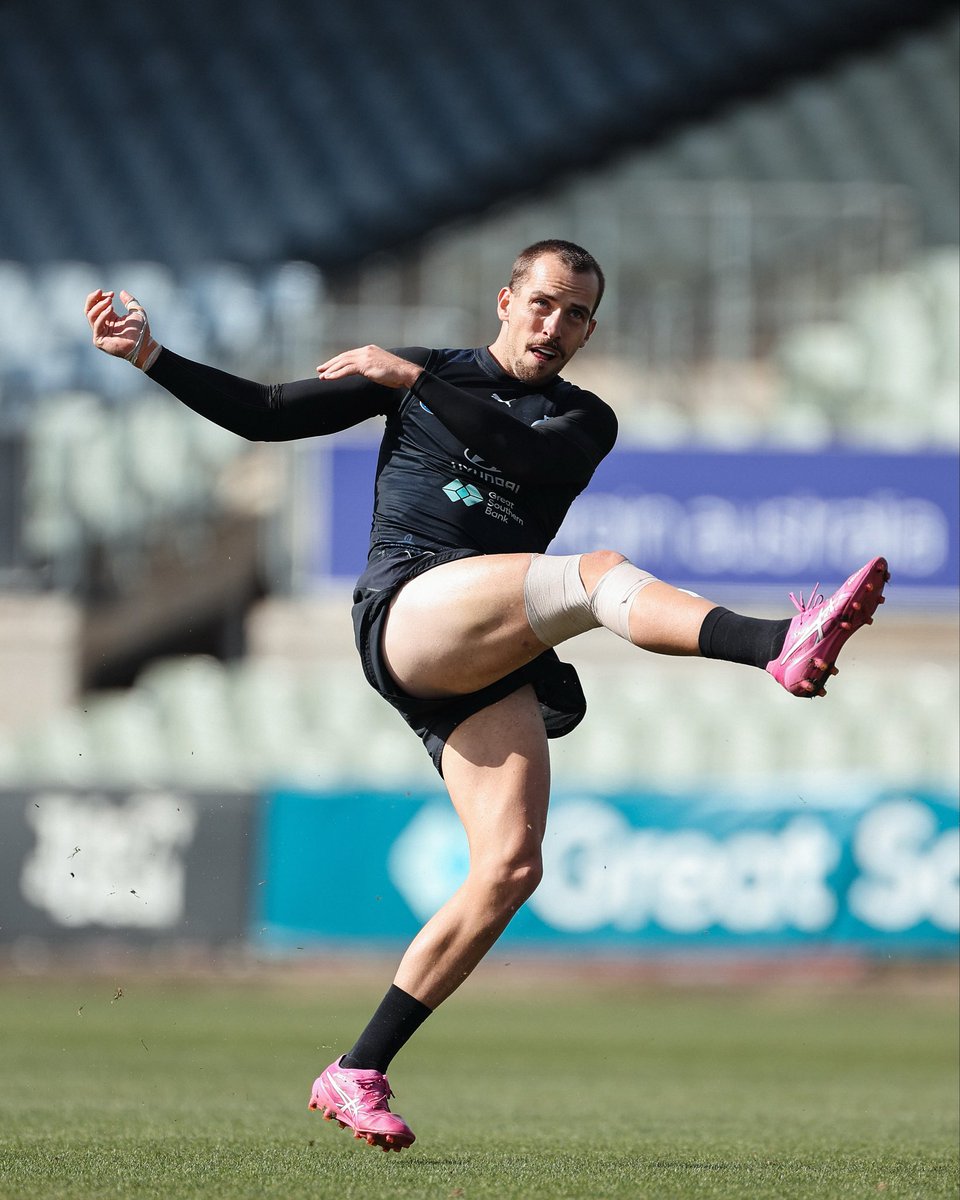 Carlton FC tweet media