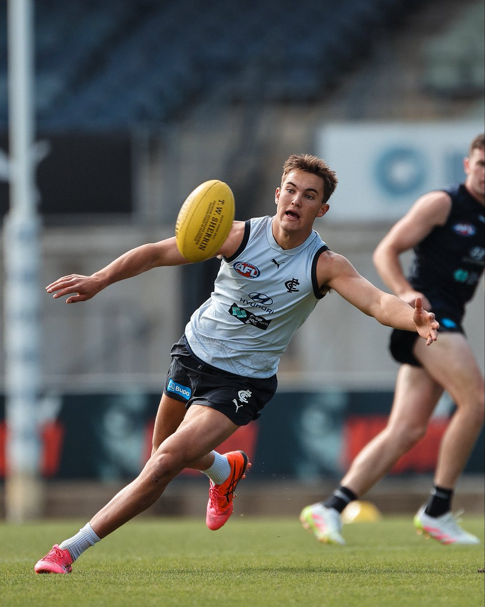Carlton FC tweet media