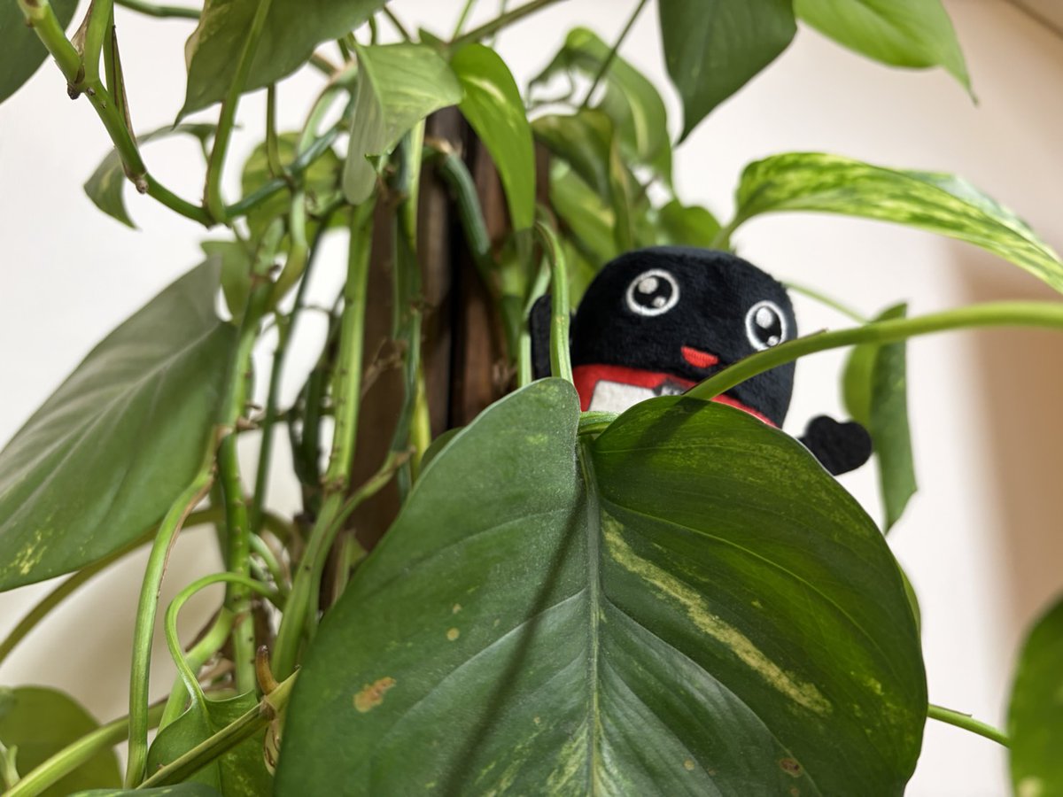 #RockonSocialClub 
KURE 5-56 Presents #GOGOROCKON

今夜も、#成田昭次 さんと #高橋和也 さんが
ガレージに集合！🎉

今週のガレージROCKでは男闘呼組もカバーした
あの名曲に注目！
二人のこのアーティストへの愛が溢れるトーク
が聴けちゃうかも？

radiko.jp/share/?sid=FMT…