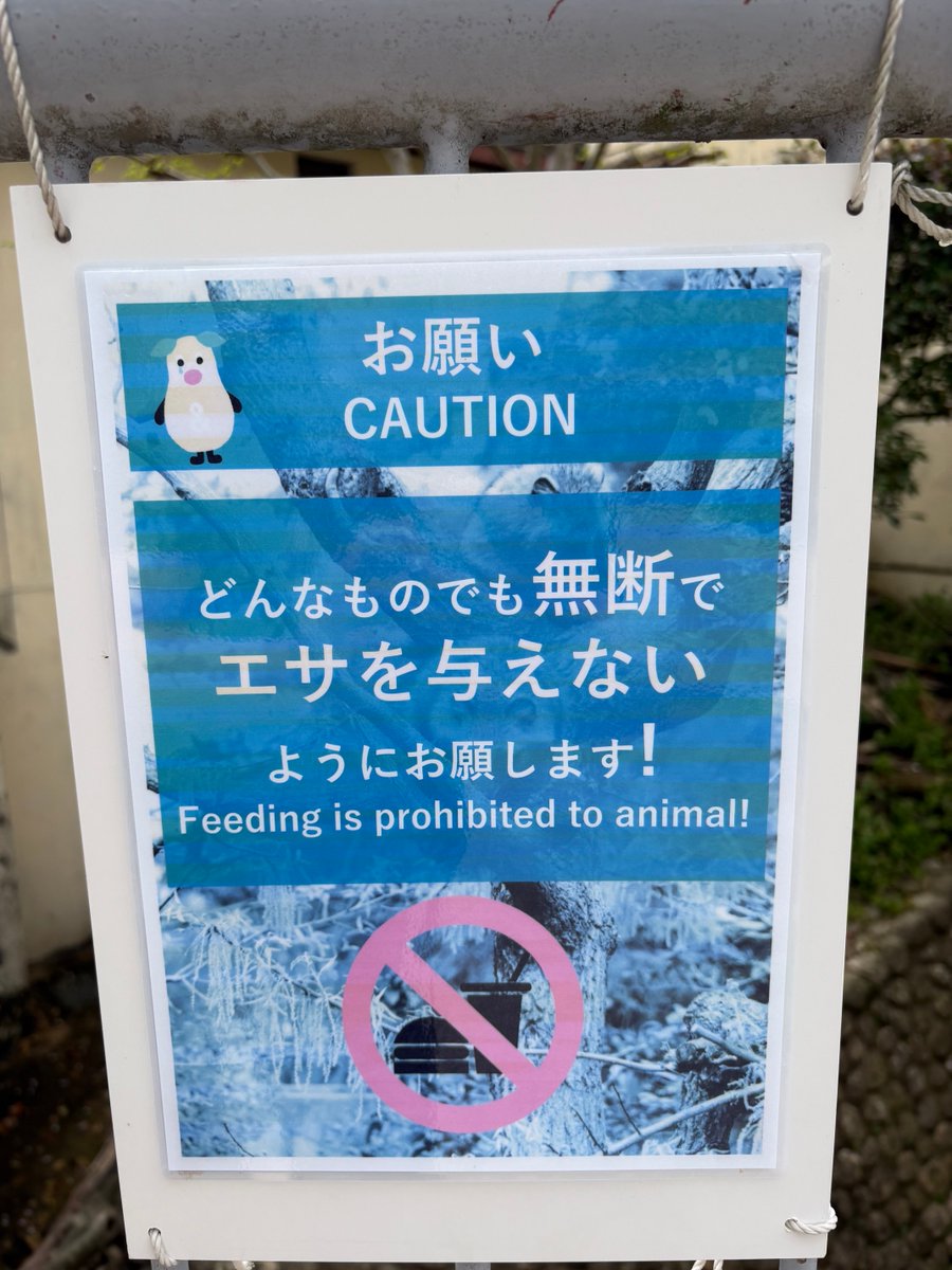 一匙のお砂糖で tweet media