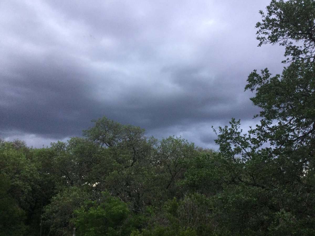 David Baumanm tweet media