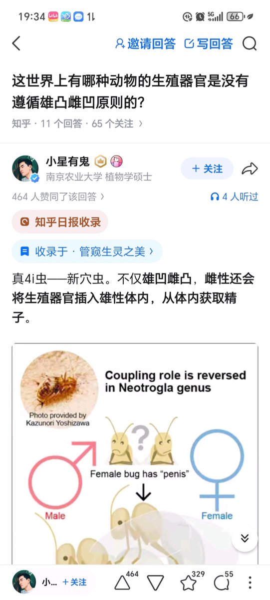 🏳️‍⚧️凌嘉欣🍥 tweet media