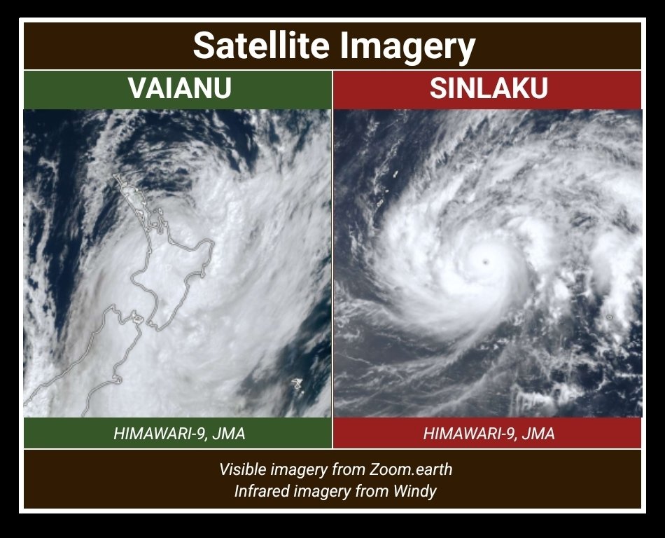 Angelic Panda Meteorology tweet media