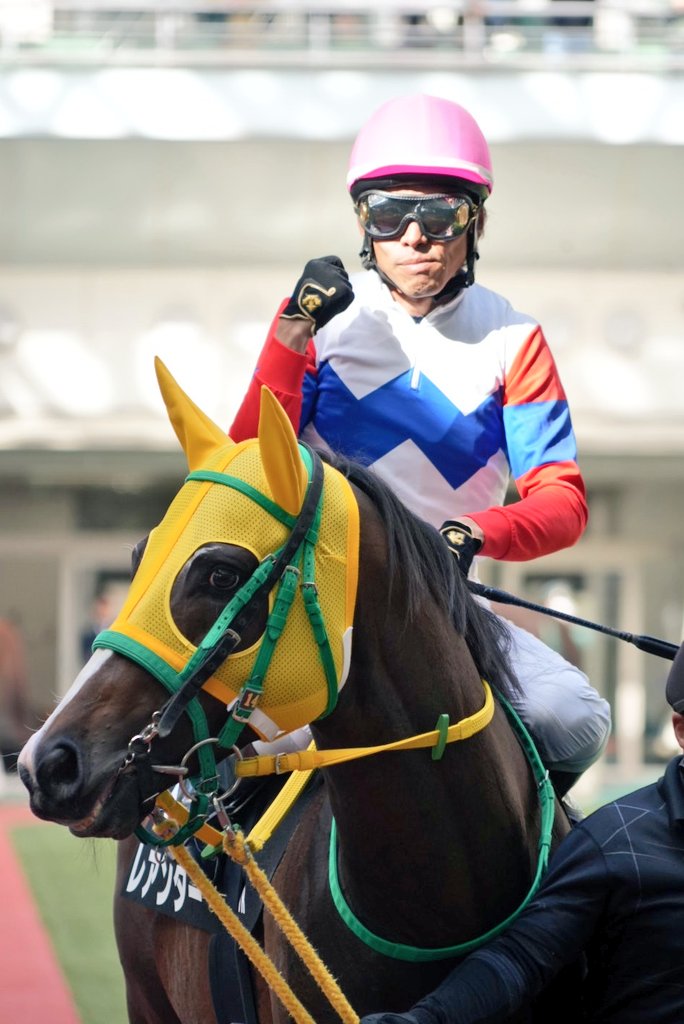 ちょび🐴 tweet media