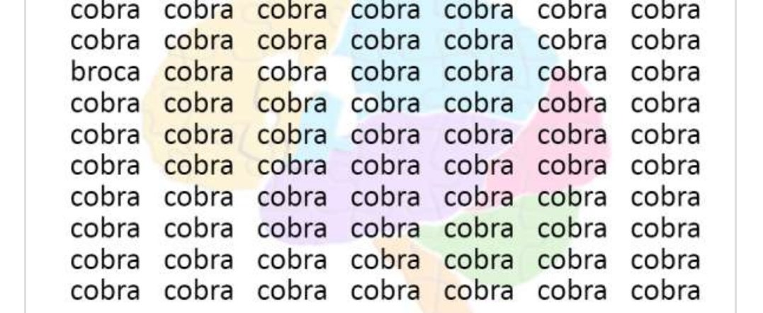 Professora Tati tweet media