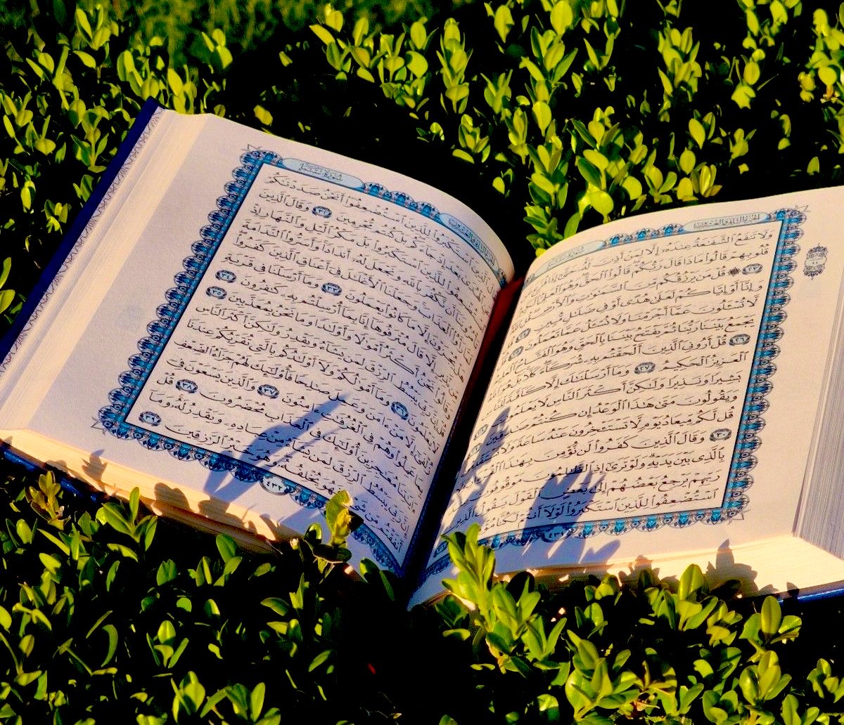 مَجَالِس أَدَبِيَّة tweet media