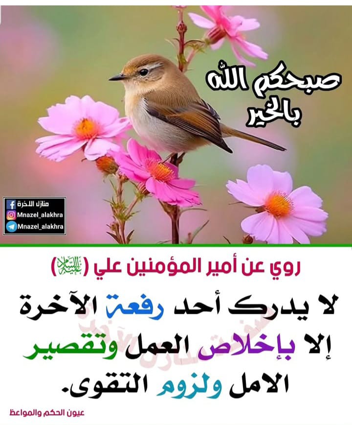 S.Hashim A'l Majed Albahrani tweet media