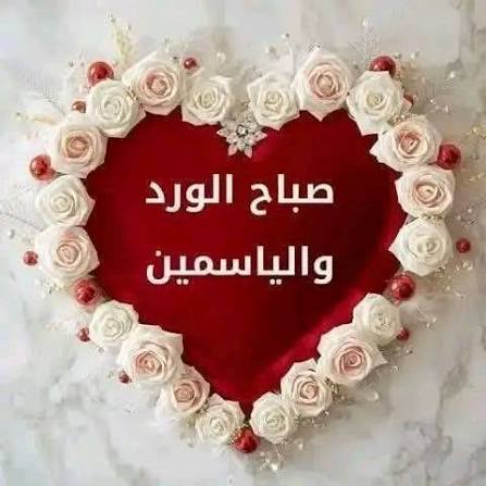 ام طلوع tweet media