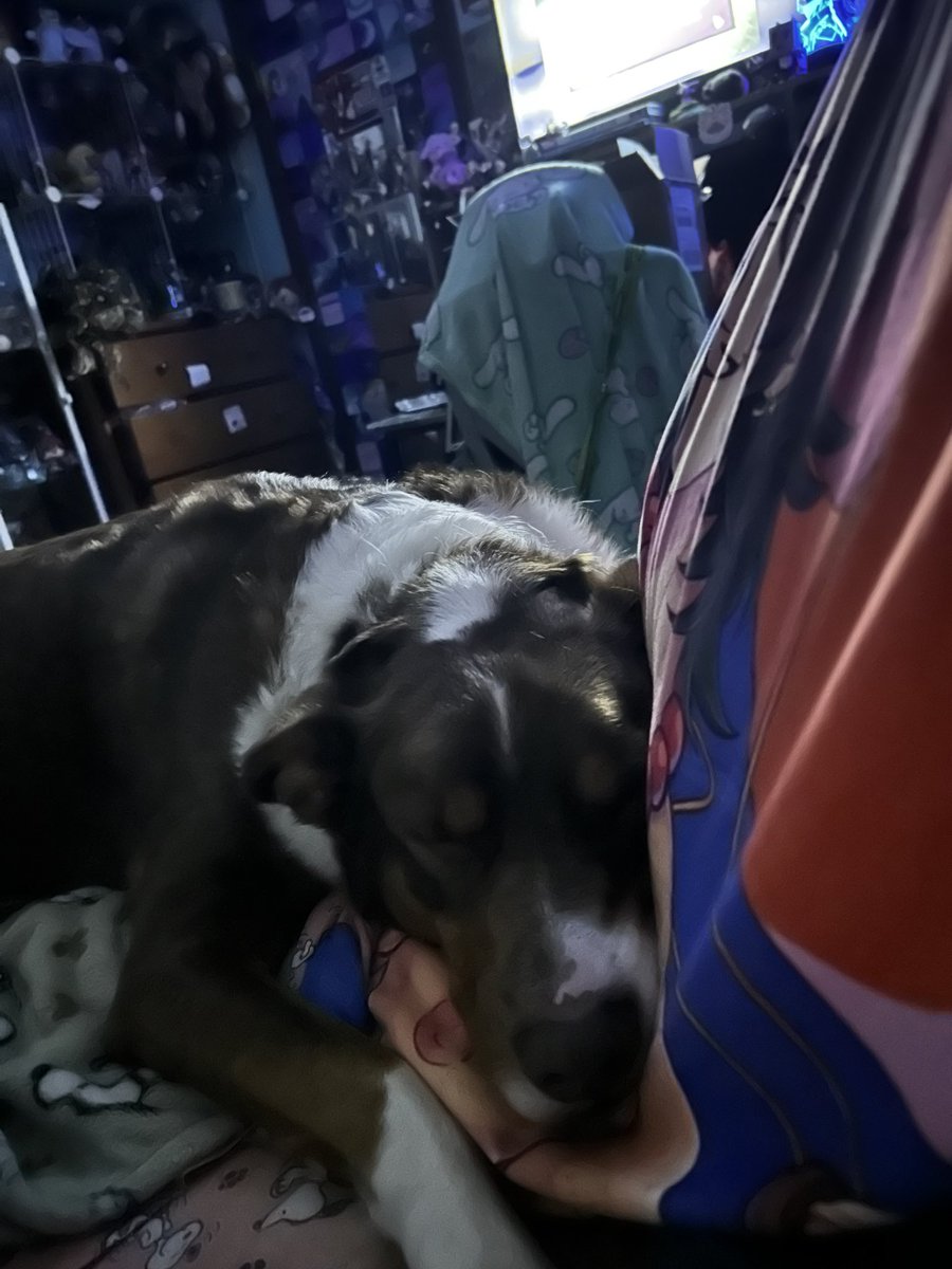 Raph/Cass- Ace & Ichiji’s valentine ❤️💞 tweet media