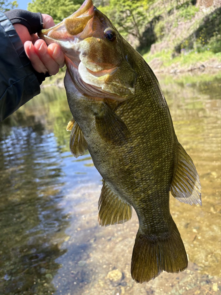 エソッチ tweet media