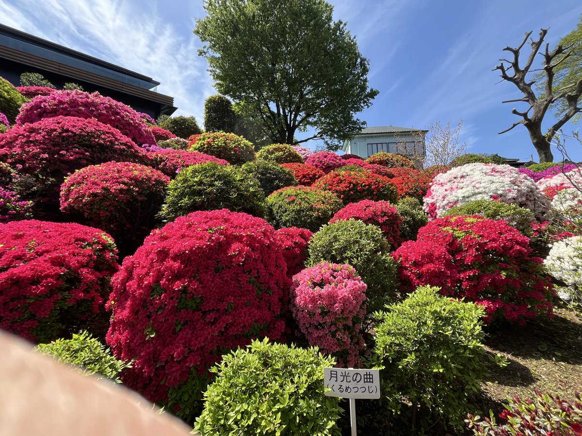 みっちゃん@\(^o^)/ tweet media