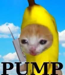 SOL Society tweet media