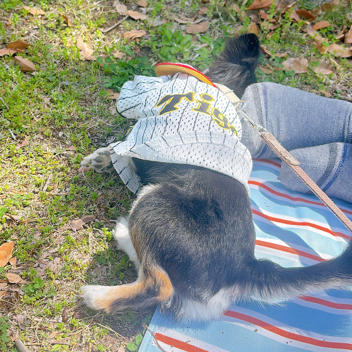 𝟪𝟥su♡ tweet media