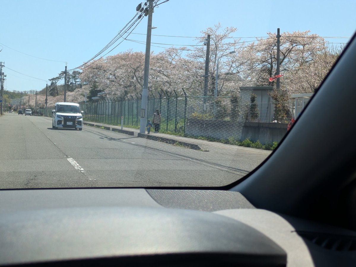 たま 5月6日出場予定 tweet media