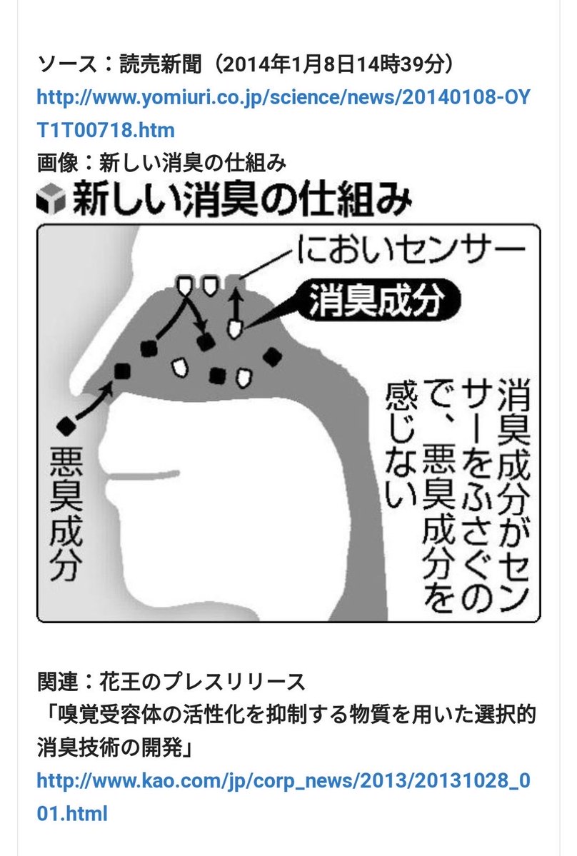 もふ子 tweet media