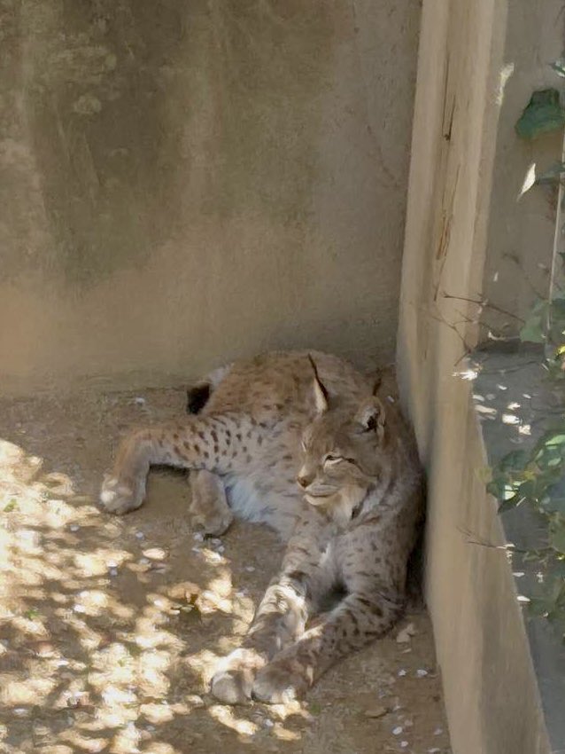 asami(あーちゃん) tweet media