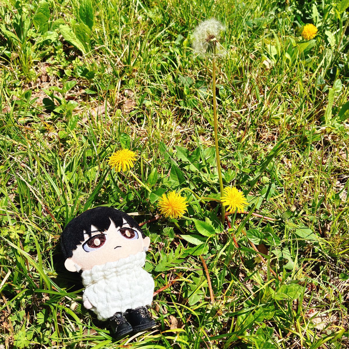 ルプぬい tweet media