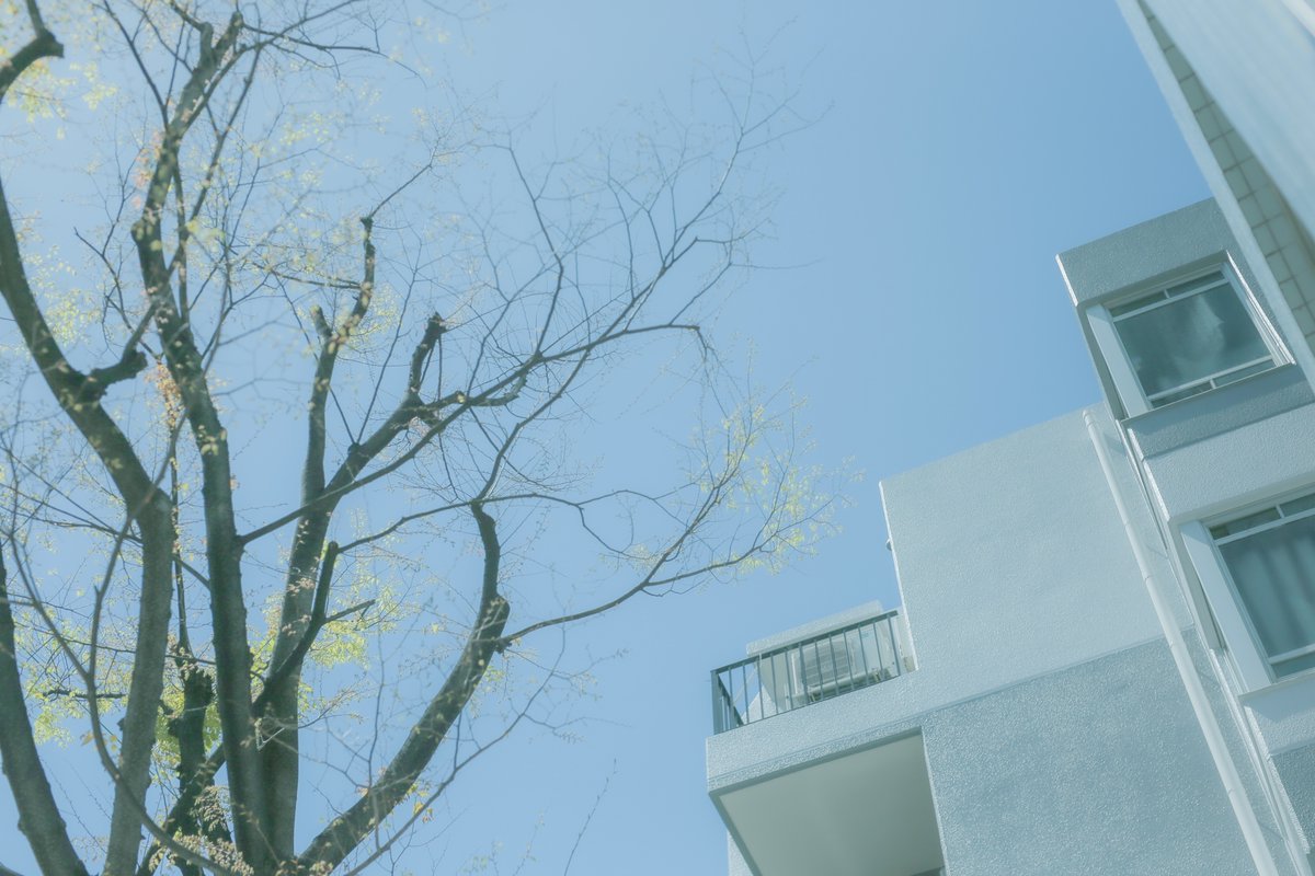 春ですね〜
スタジオの玄関前・気温24℃
写真もコントラスト控えめの設定で春らしく...