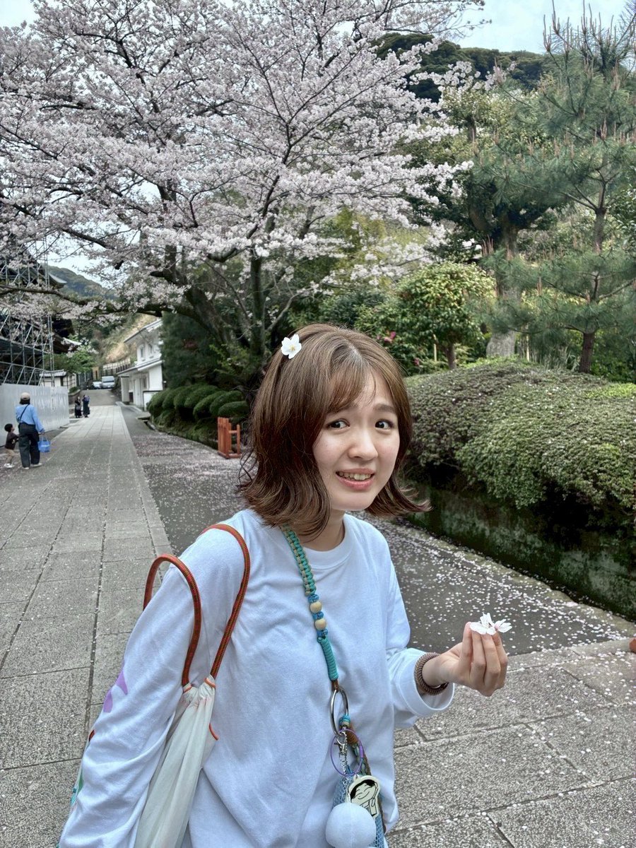 こんにちようび🌞

弾き語りライブのご予約ありがとうございます🥹🫶
まだまだご予約お待ちしています！
🎫livepocket.jp/e/rinkaichishi…

最近、凜華ちゃんと鎌倉遠足したんですが、桜集め(落ちている桜の花を拾い集める)に夢中になって時があっという間に過ぎて楽しかったです🚶‍♀️🌸