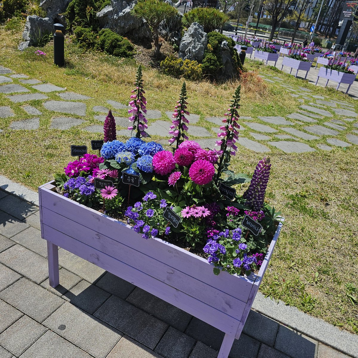 JY❤️ tweet media