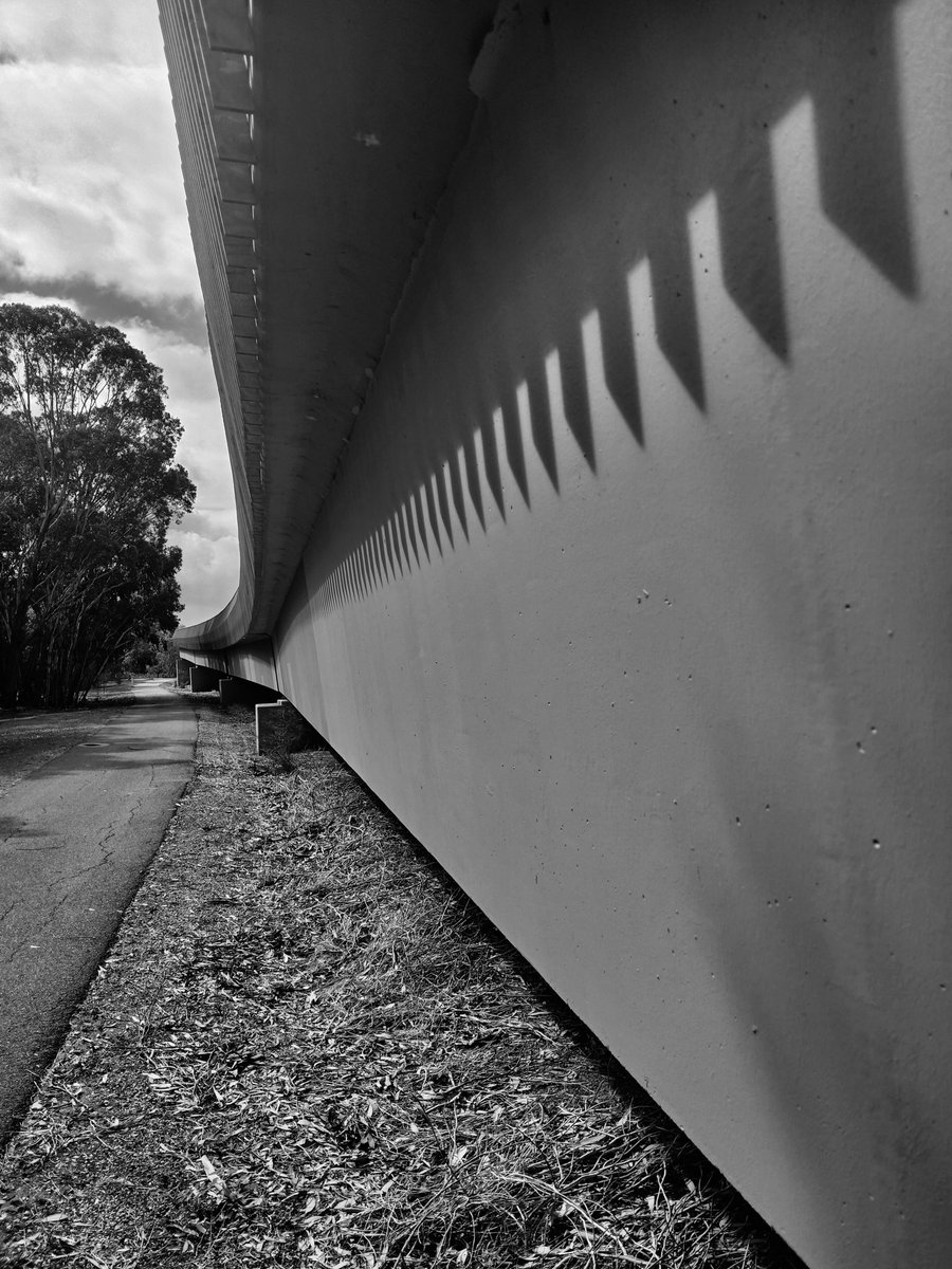 Bretto68 tweet media