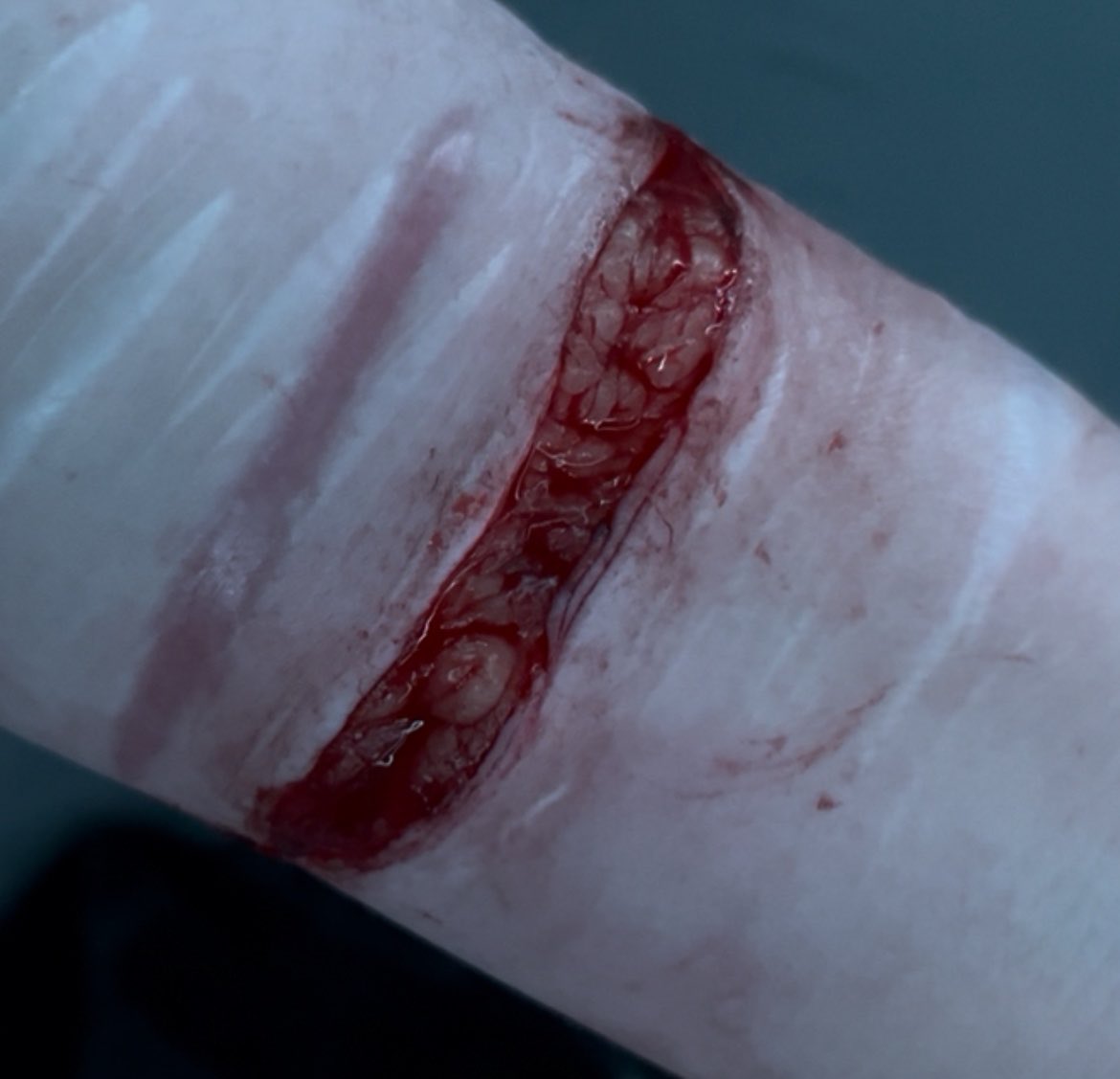 Twilight ! tweet media