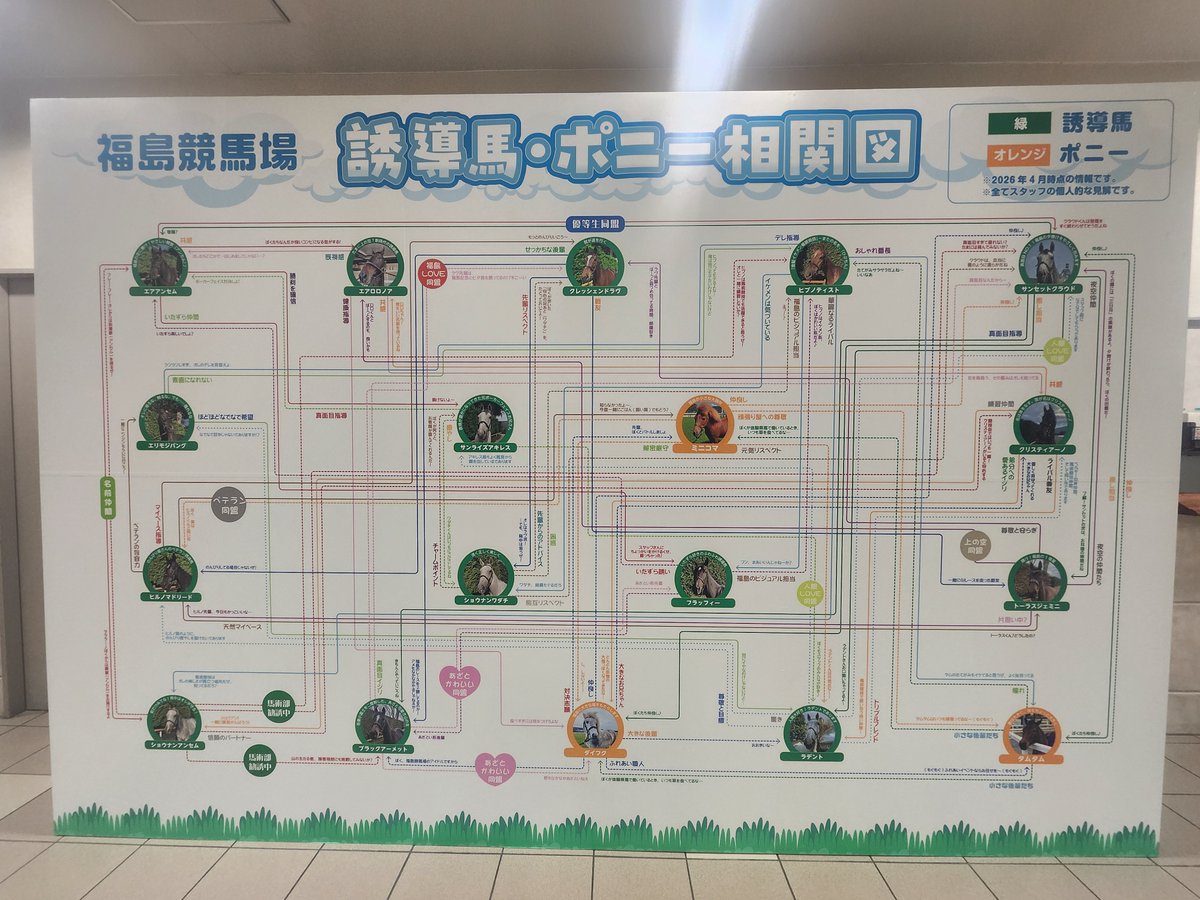 ちょび🐴 tweet media