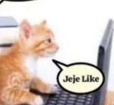 Verv EK¹ 🐾 tweet media