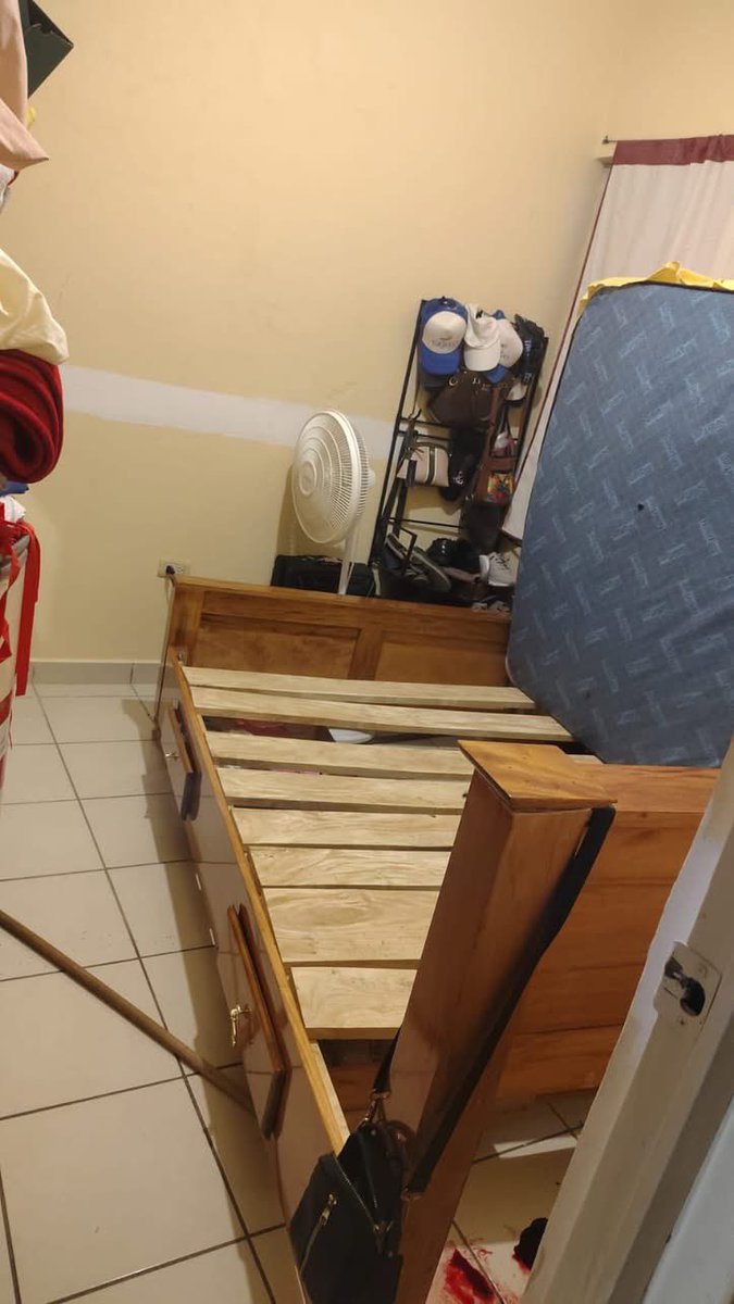 Rescatista FRIKIndependiente🐱 tweet media