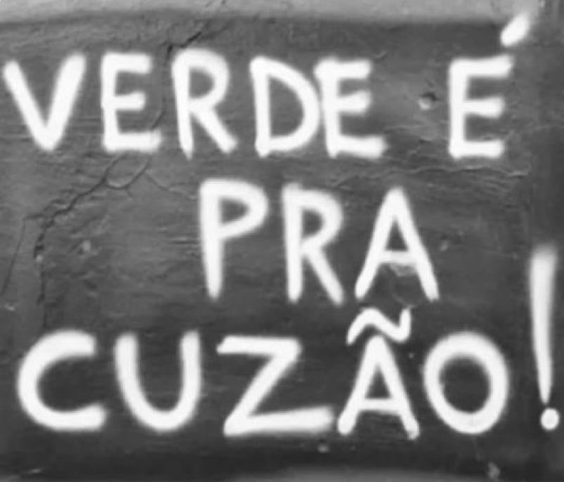 Cavalinho do SCCP tweet media