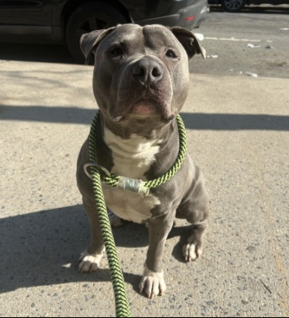 Tootsismyname🏴‍☠️ tweet media