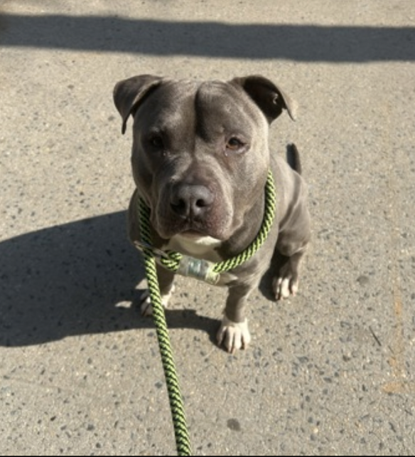 Tootsismyname🏴‍☠️ tweet media