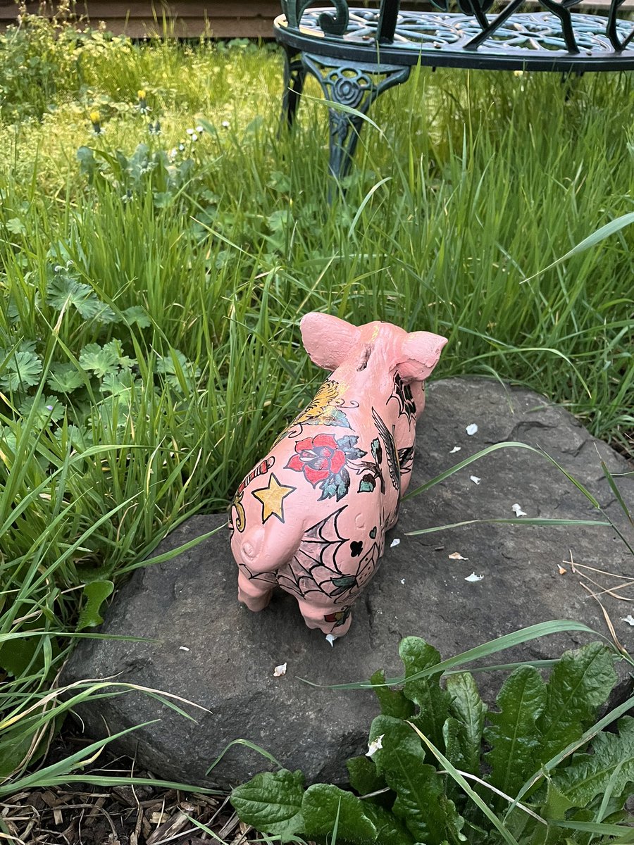 Ms. Chevious tweet media