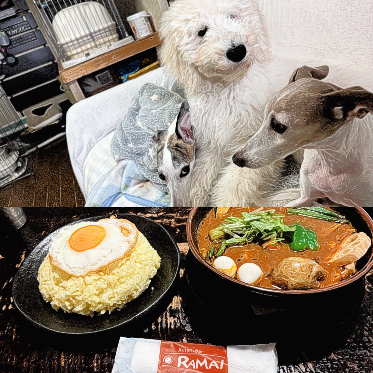Nobnob19_ginmo's tweet photo. 真ん中の華は生後4ヶ月
1番デカく見えるわ😂😂

週末は寒かったのであったまるスープカレー😍美味かった〜😋 https://t.co/E1pWQNJFOG