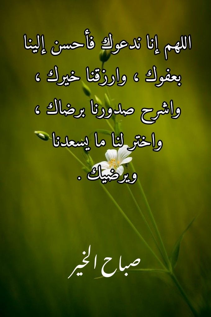 جهنية tweet media