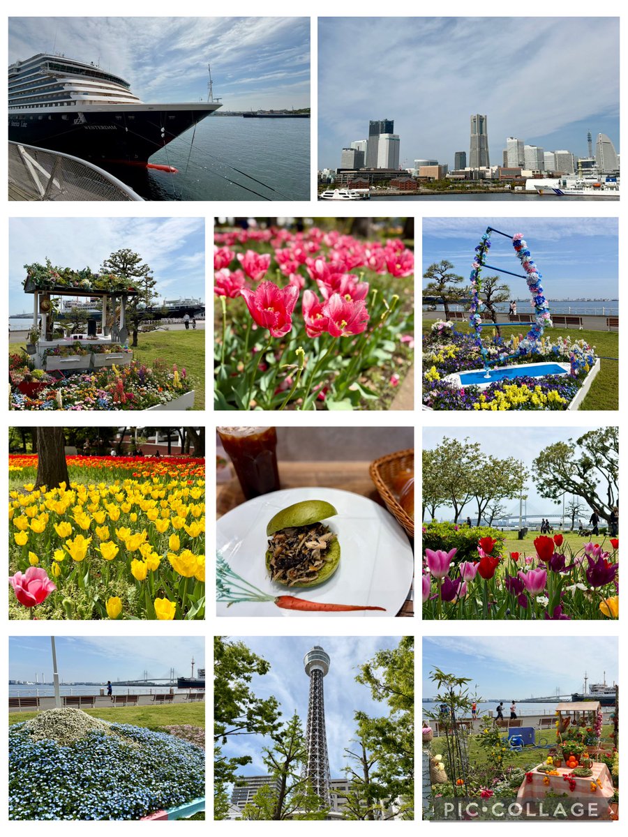 sicyan_sicyan's tweet photo. 今朝はみなとみらい15kmラン🏃♪
山下公園がお花モード全開で綺麗でした〜🌷✨
春爛漫な気候でランナーも多いですねぇ🏃🏃♀️🏃♂️
10〜11月のフルで悩んでます〜🌀
実は横浜にいるのが今年頃までとなりそうで🛫...最寄りの横浜に出たいが、同日の水戸黄門や金沢も出たい!...😅
#cloudgo(レンタル) https://t.co/pXXIcrAIjr