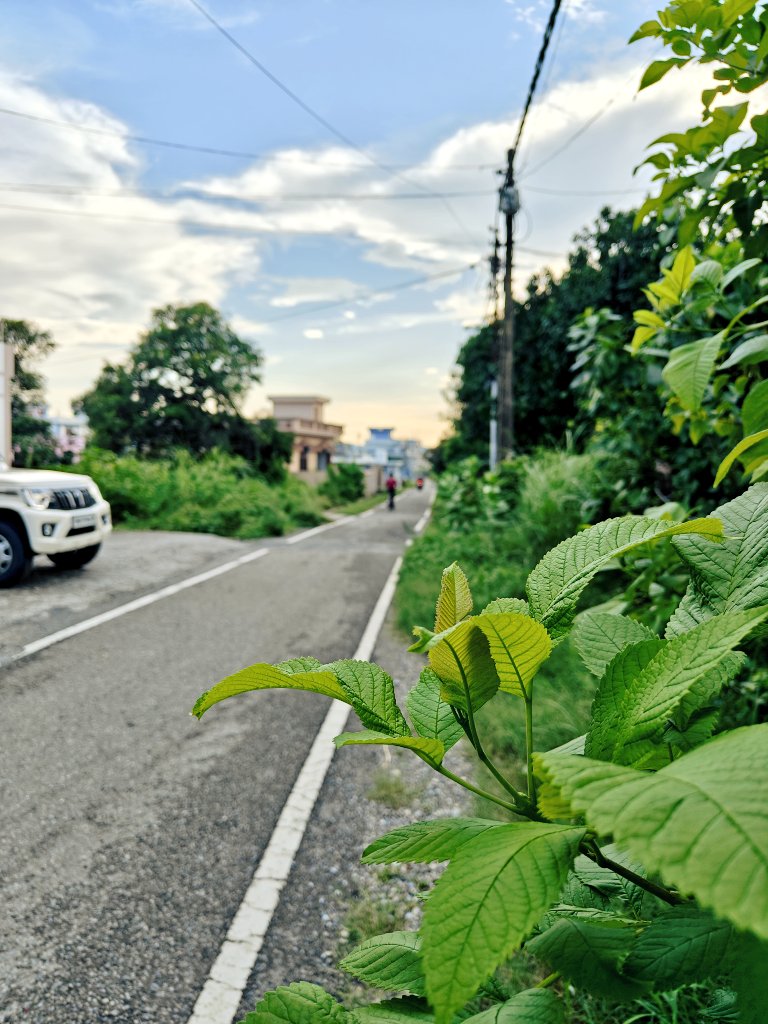 Rohittkr01's tweet image. Good Morning 🛣️ 

#HappySunday ♥️