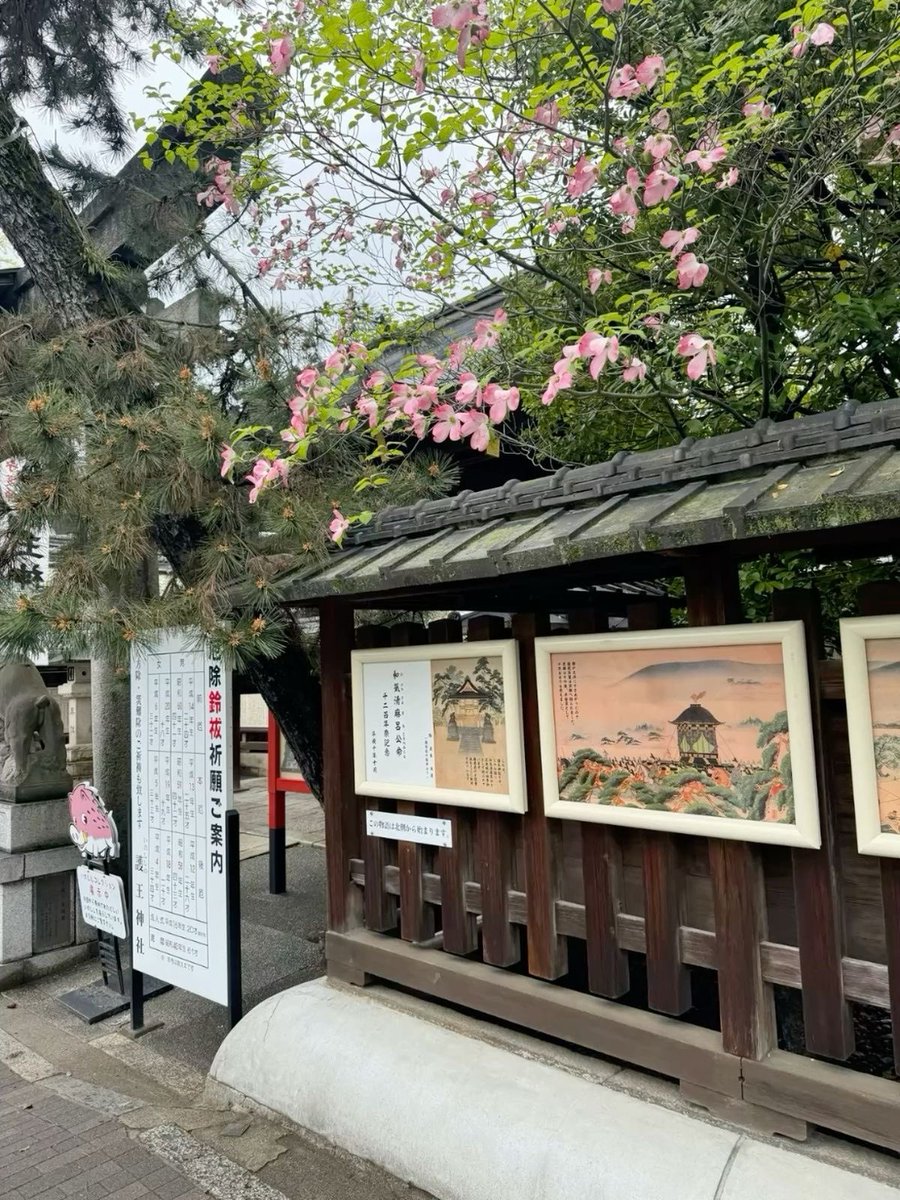 xo, colie tweet media