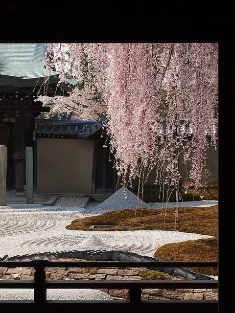 xo, colie tweet media