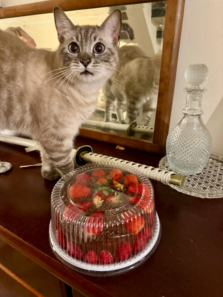 Izadora Dias tweet media