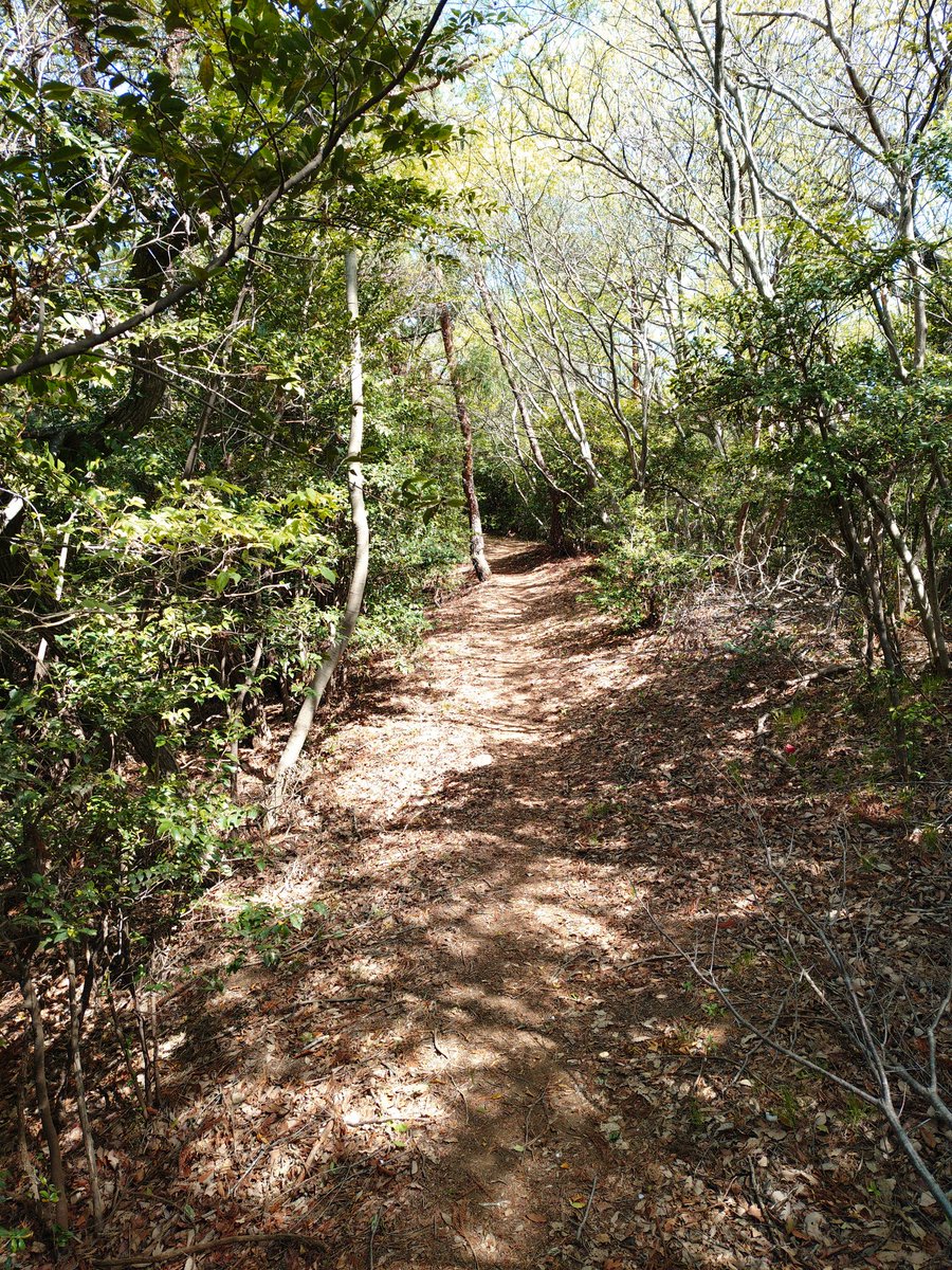 t.unuma(鵜沼巧) tweet media