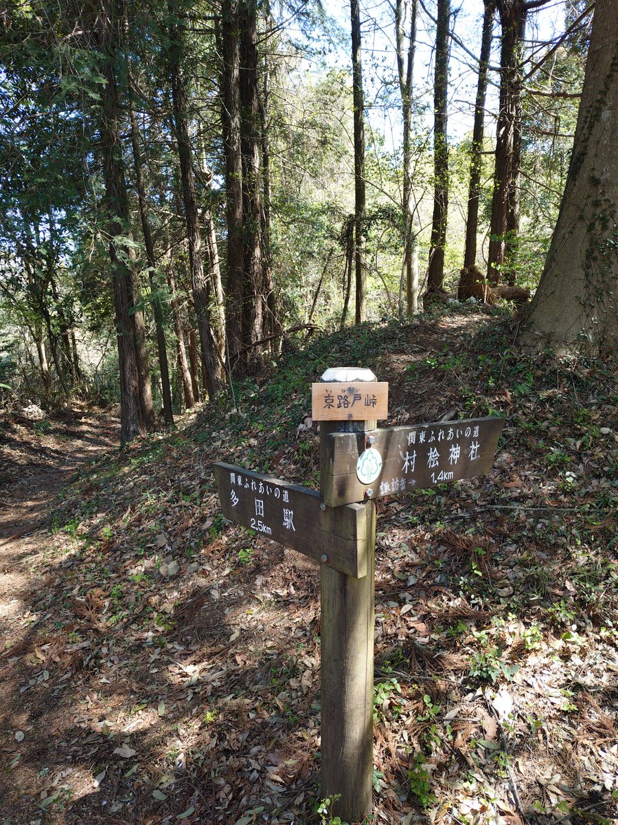 t.unuma(鵜沼巧) tweet media